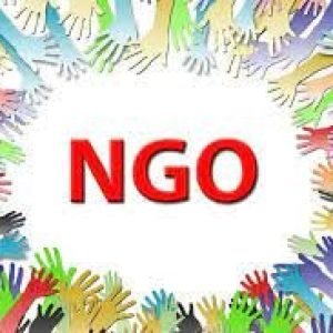 Best NGOs in India for Healthcare and Rural Support
